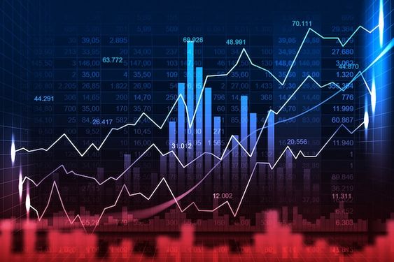 share market tips for beginners